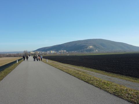 Foto 15